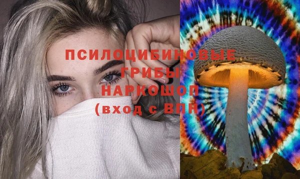 сатива Михайловка