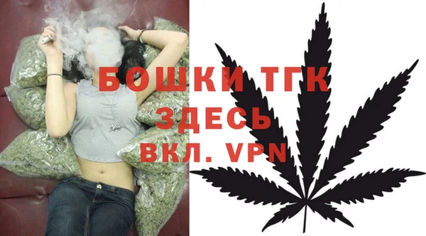 сатива Михайловка
